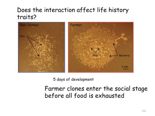 Joan Strassmann, "Evolution of cooperation and control of