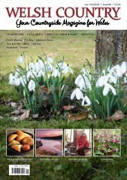 Welsh Country Jan Feb 2019 pages 1-7