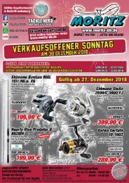 Flyer ab 27.12.2018