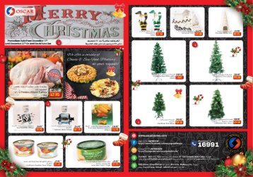 christmas flyer app