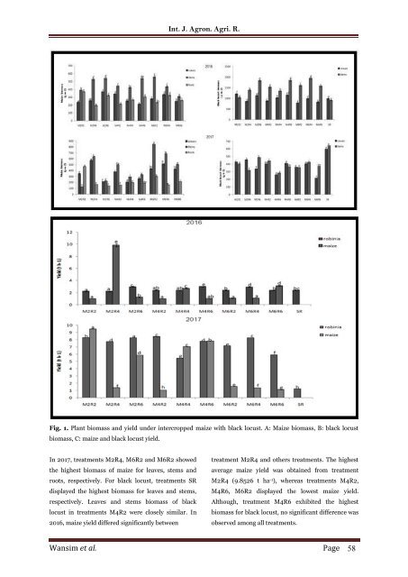 The production capacity of intercropped model of maize (Zea mays) with black locust (Robinia pseudoacacia)