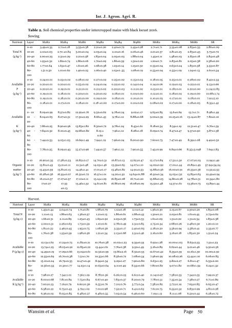 The production capacity of intercropped model of maize (Zea mays) with black locust (Robinia pseudoacacia)