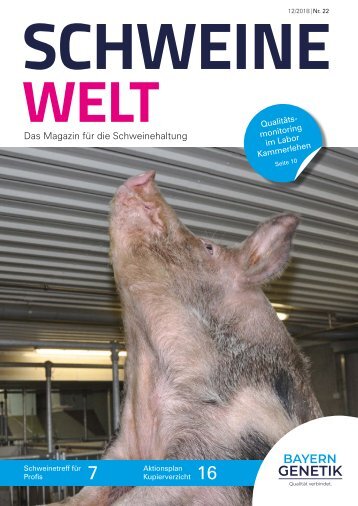 Schweine-Welt-2018-Dezember-web