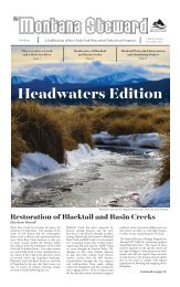 Montana Steward Headwaters Edition