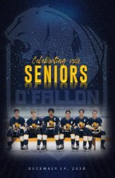 2018-2019 O'Fallon Panther Hockey Senior Night