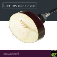 Guidelines aubergine Lemmy