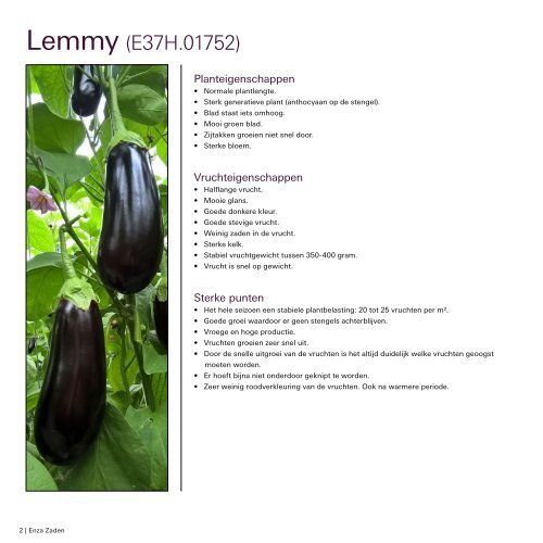 Guidelines aubergine Lemmy