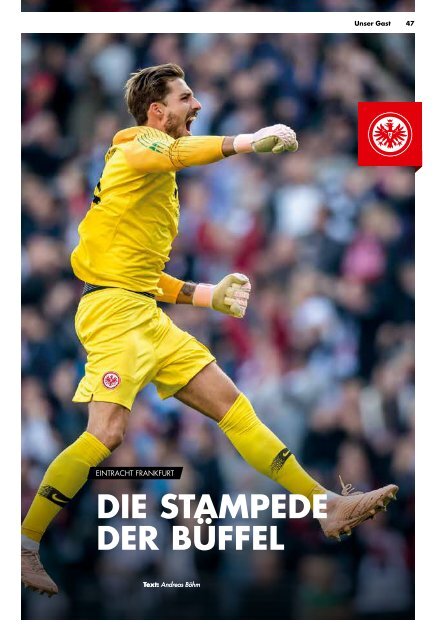 Stadionzeitung_2018_2019_9_SGE_Ansicht