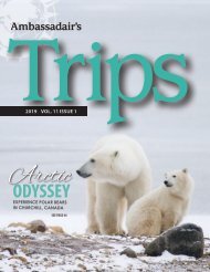Trips Magazine Volume 11 Issue 1
