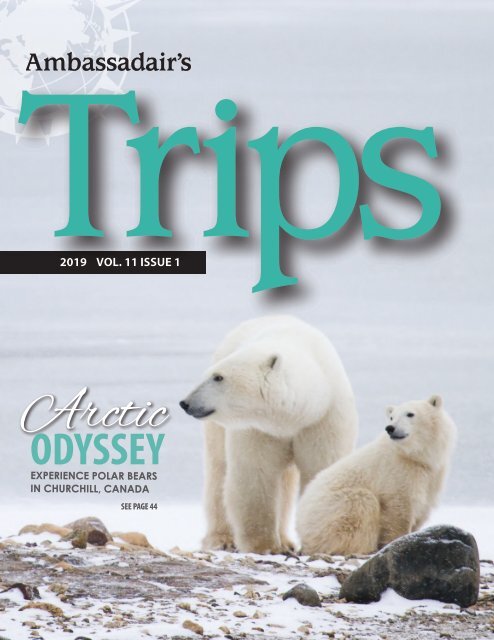 Trips Magazine Volume 11 Issue 1