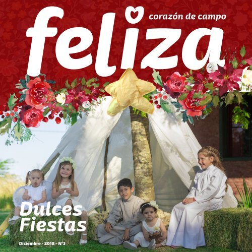 Feliza - Diciembre - Dulces Fiestas