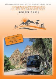 Reiseverkehr Zweidinger Katalog 2019