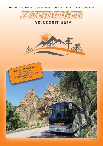 Reiseverkehr Zweidinger Katalog 2019