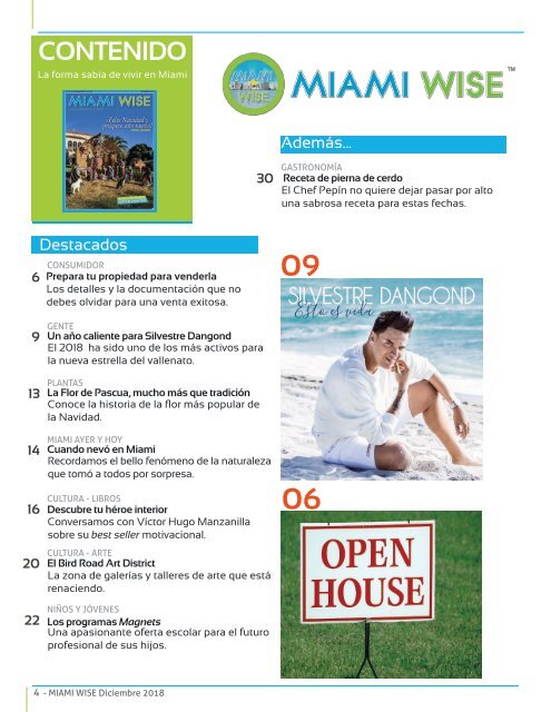 MIAMI WISE DICIEMBRE  2018