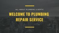 plumbing repair service