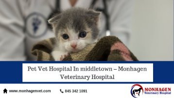 Pet Vet Hospital In Middletown, NY – Monhagen Veterinary Hospital