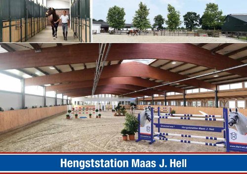 Hengstkatalog Hengststation Maas J. Hell 2019