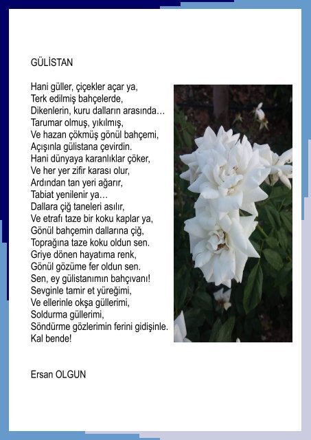 SOSYALİTE PDF