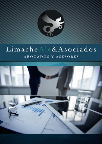 Brochure - Limache Ale & Asociados - Abogados y asesores