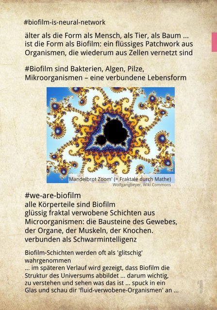 KlarTraum-Handbuch-einer-Fee