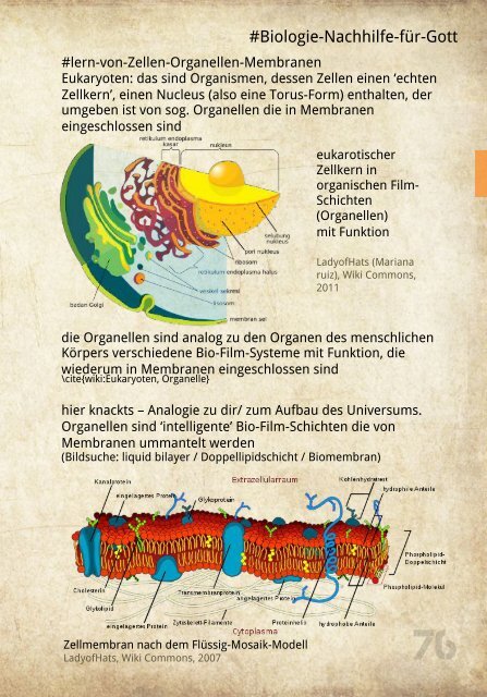 KlarTraum-Handbuch-einer-Fee