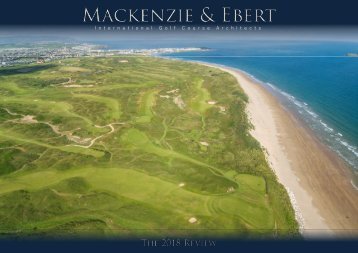 Mackenzie and Ebert 2018 Annual Review