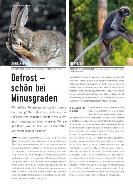 SchlossMagazin Fünfseenland Januar 2019