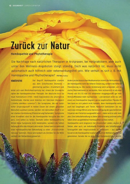 SchlossMagazin Fünfseenland Januar 2019