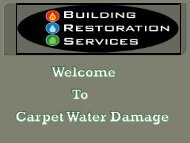 water carpet cleaners in Melbourne