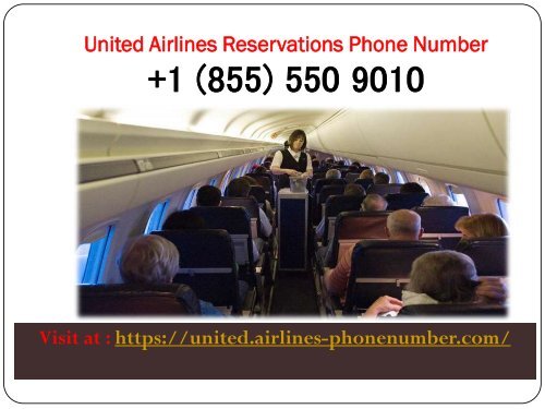 United Airlines Phone Number | Customer Service Toll Free