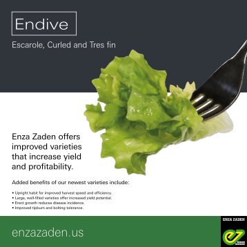 Leaflet Endive