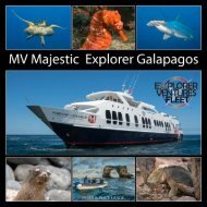 Majestic Galapagos