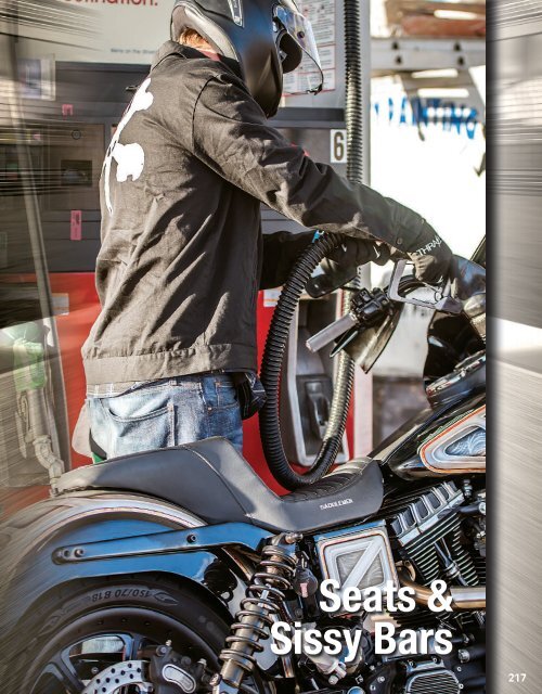 CAP4 Seats & Sissy Bars