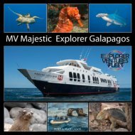 Galapagos Majestic_2019