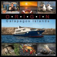 Galapagos Origin 2019