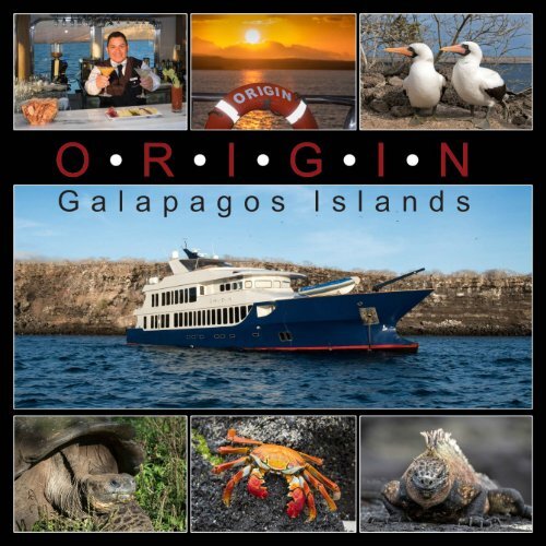 Galapagos Origin 2019