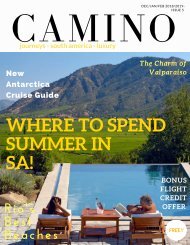 CAMINO ISSUE # 5