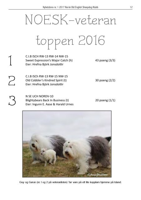 Nyhetsbrev NOESK nr.1-2017