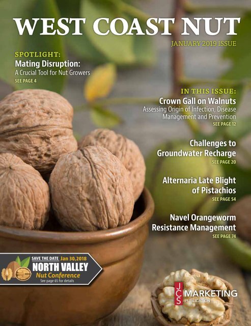 Wcn Jan 2019