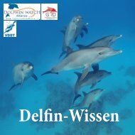 Delfin Wissen