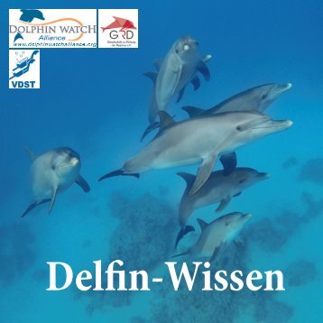 Delfin Wissen