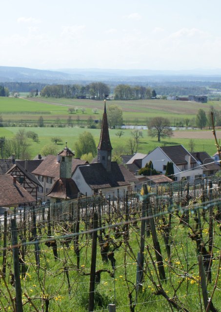 Vermietungsdokumentation Hofacker Haus 2, 8248 Uhwiesen