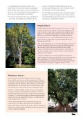 Revista Penha | janeiro 2019 - Page 5