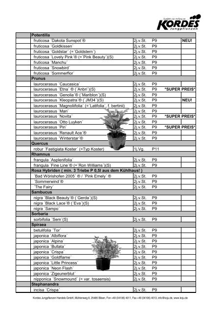 Kopie von Vorratsliste 2011-05-02 - Kordes-Jungpflanzen