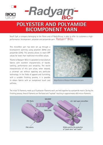 POLYESTER AND POLYAMIDE BICOMPONENT ... - Radici Group