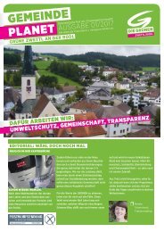 Grünes Blatt 1/2017