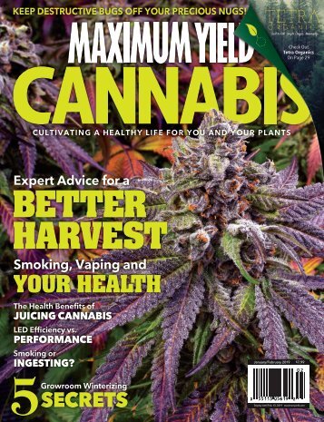 Maximum Yield Cannabis | Canadian Edition | Issue 01 2019
