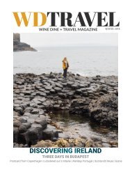 WDT MAGAZINE IRELAND ISSUE WINTER 2018