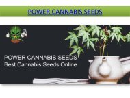 Barney's Farm Seeds | Marijuana Seeds | Best Cannabis Seeds Online