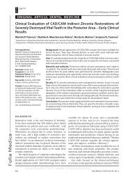 Etude-KatanaZirconiaUTML-PanaviaV5